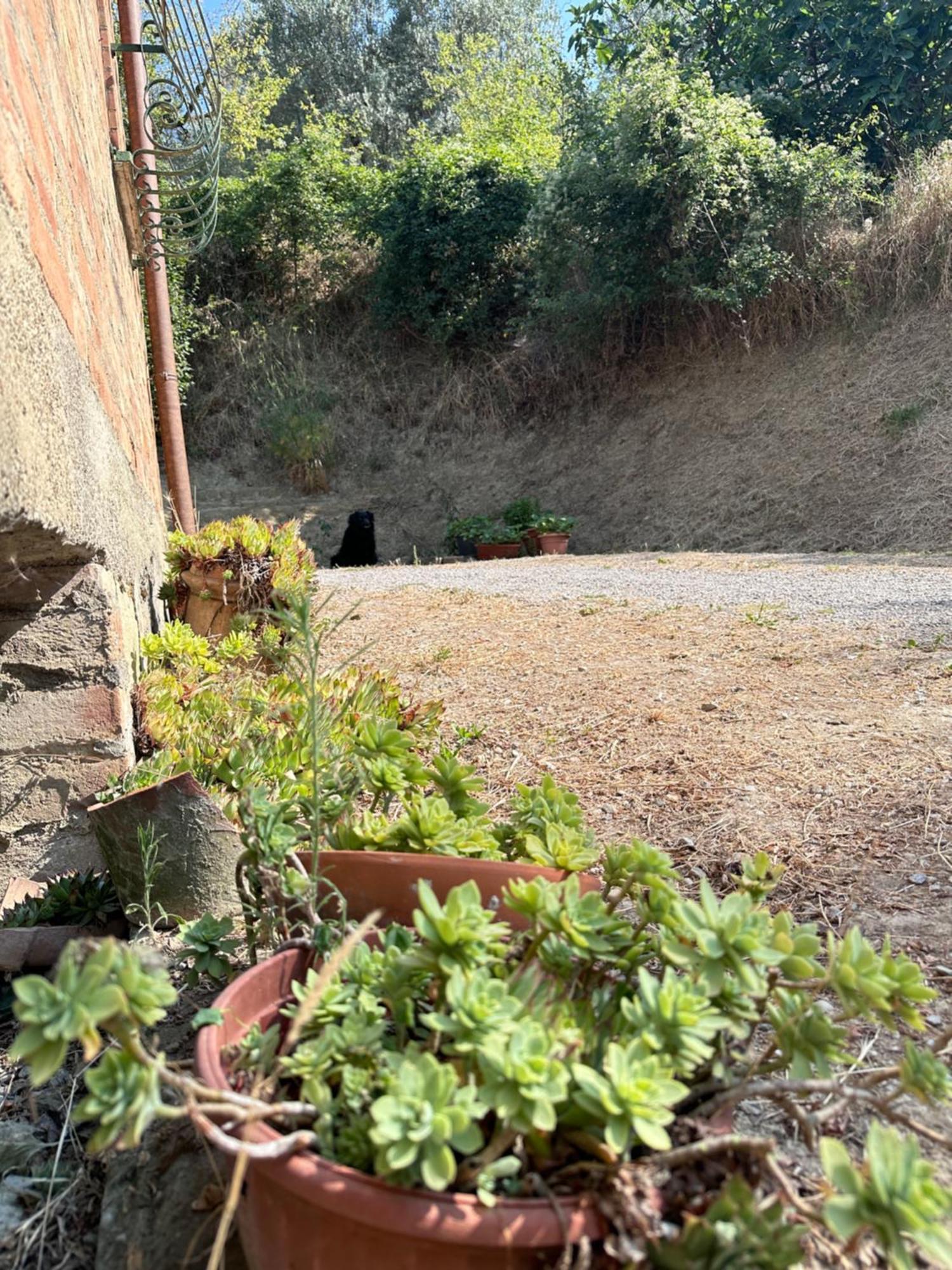 Vila Agriturismo San Biagio Montepulciano Stazione Exteriér fotografie