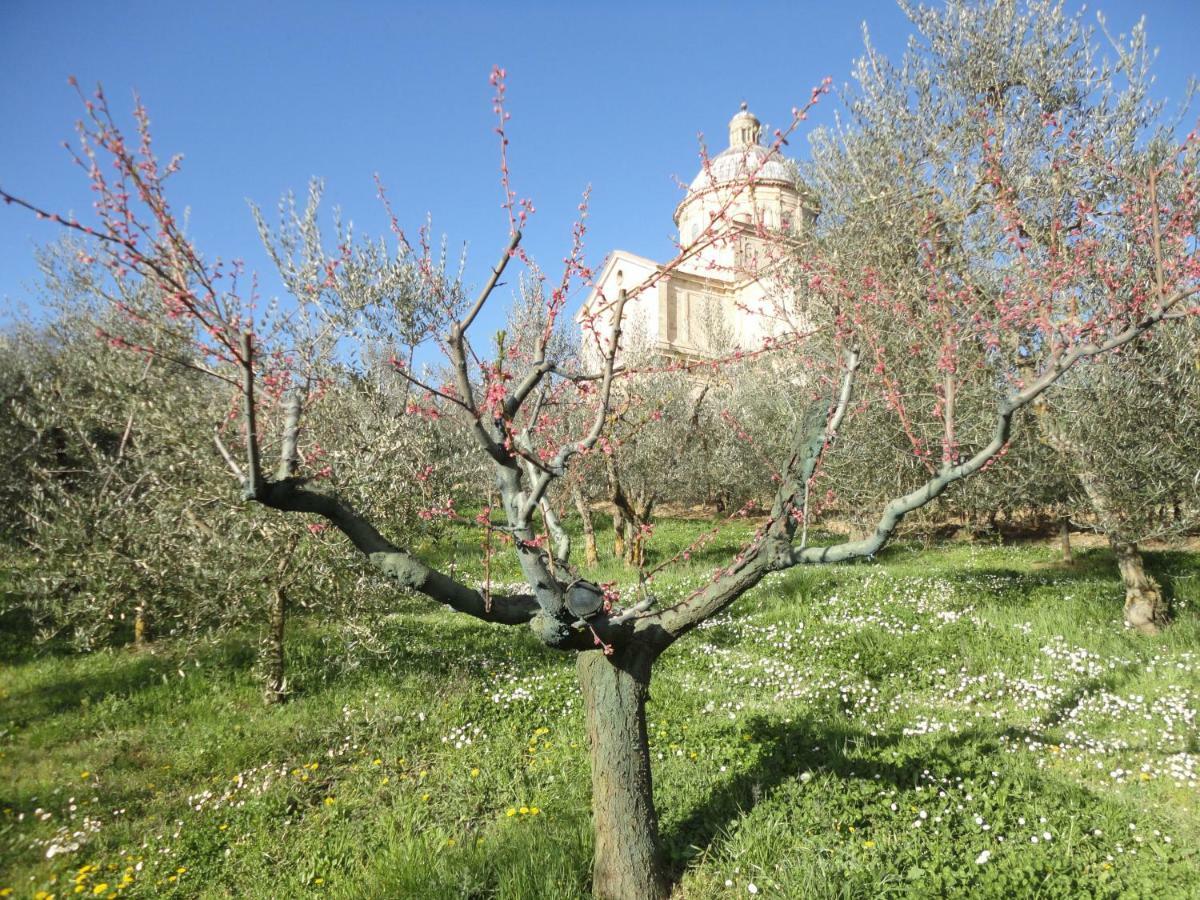 Vila Agriturismo San Biagio Montepulciano Stazione Exteriér fotografie